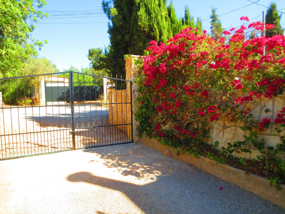 Zufahrt Fincahotel Son Baro