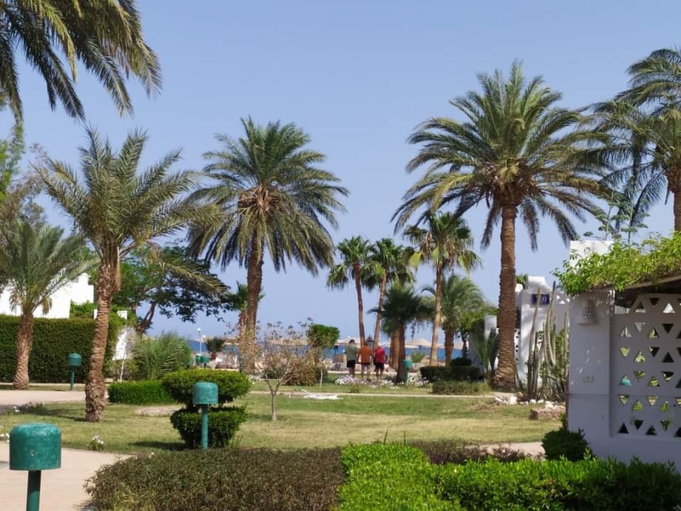 Gartenanlage Shams Safaga Resort