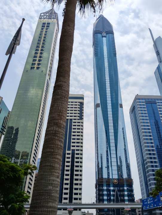 Ausblick Rose Rayhaan by Rotana