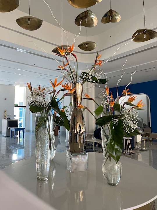 Lobby Pickalbatros Blu Spa Resort