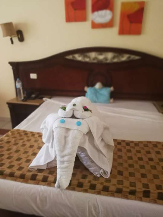 Zimmer Regency Plaza Aqua Park & Spa