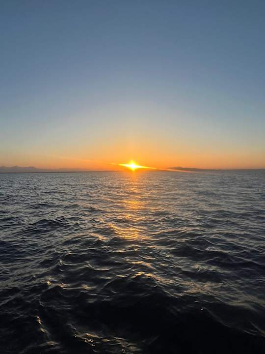 Sonstiges Pickalbatros Citadel Resort