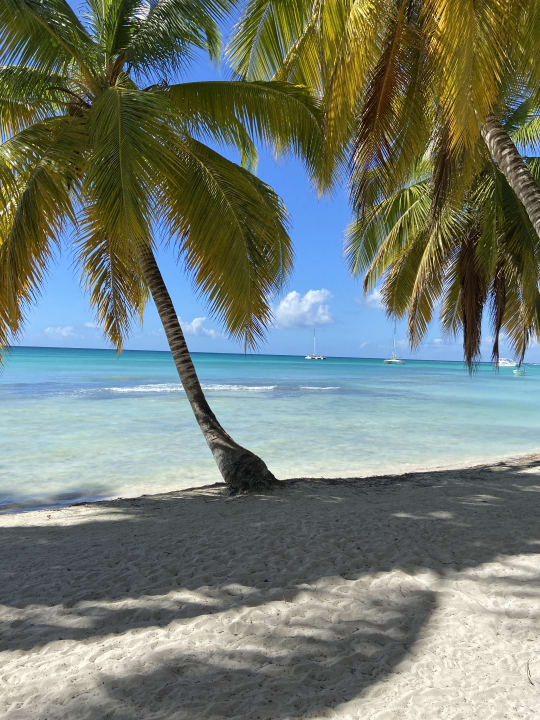 Strand Catalonia Punta Cana - All Inclusive