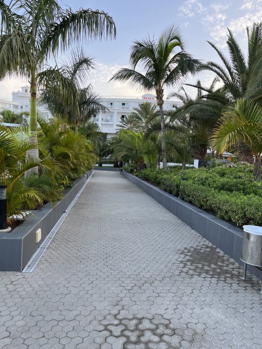 Gartenanlage Hotel Riu Palace Maspalomas Adults Only