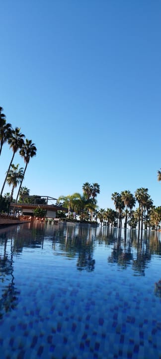 Pool Acanthus Cennet Barut Collection