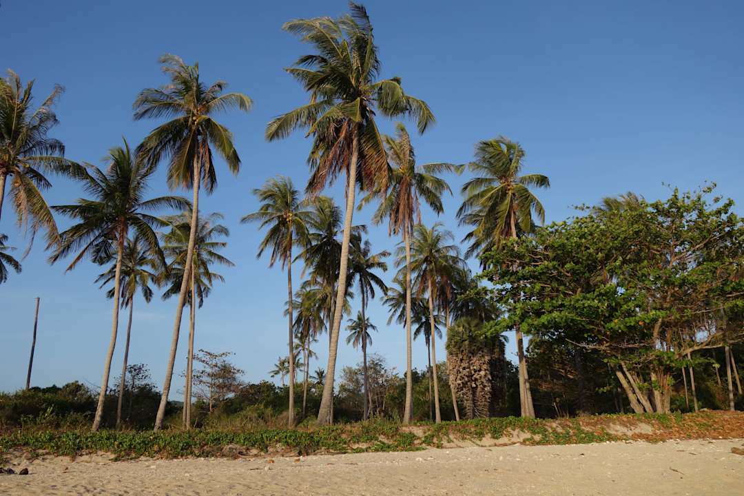 Plaża Hotel Relax Bay Koh Lanta