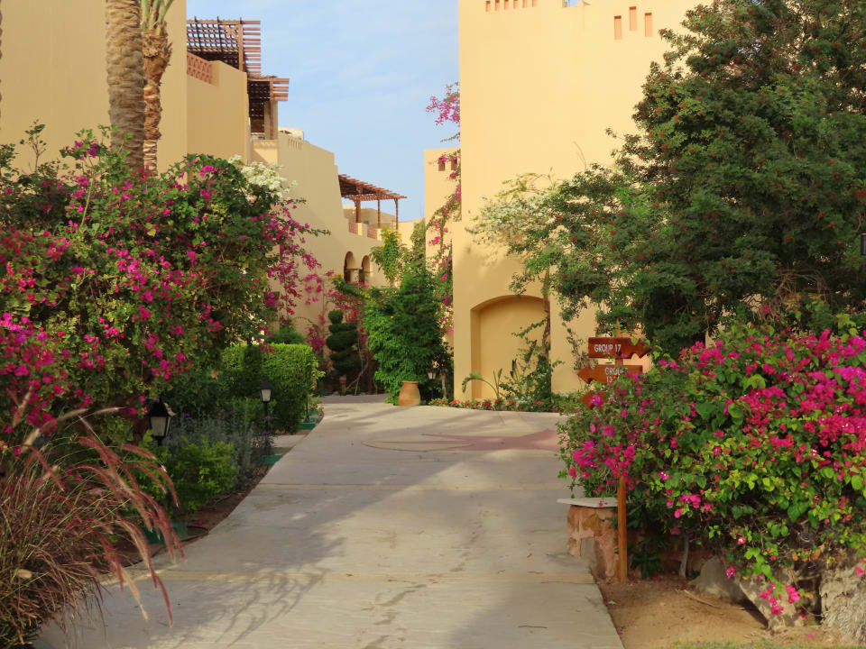 Außenansicht Steigenberger Coraya Beach - Adults only