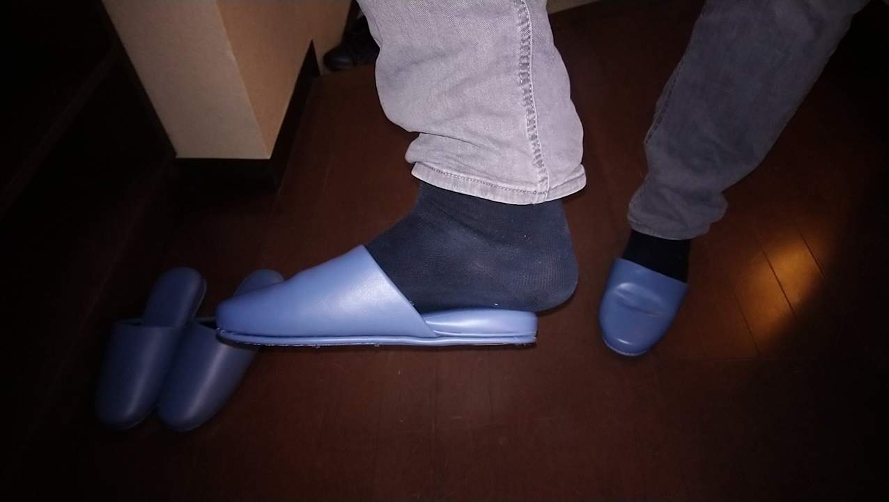 Zimmer Sakuraya Hotel