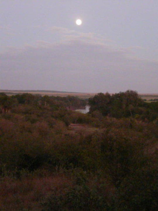 Blick auf den Mara vom Zelt vor der Frühpirsch Entim Masai Mara Camp