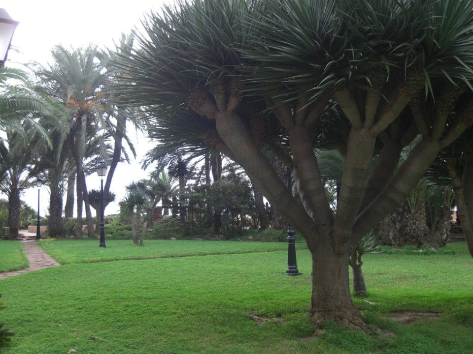 Garten THB Los Molinos - Adults only