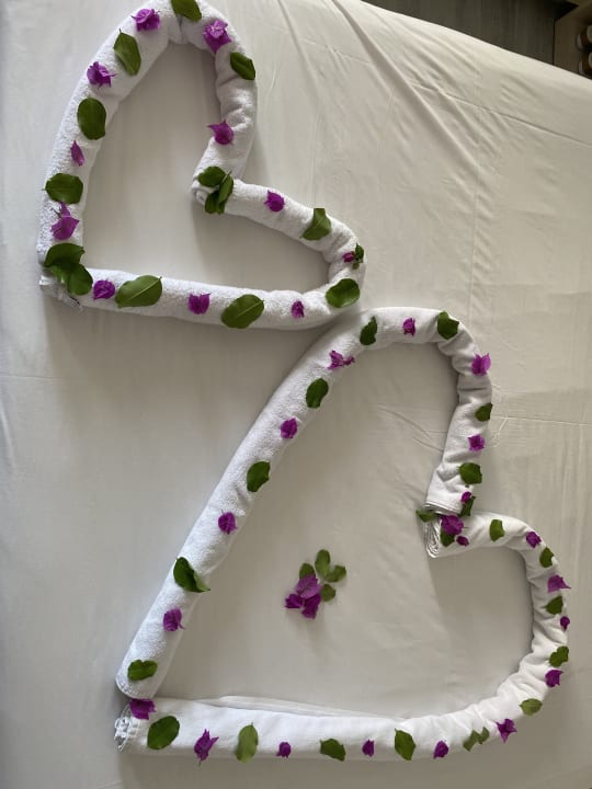 Zimmer Aria Resort & Spa