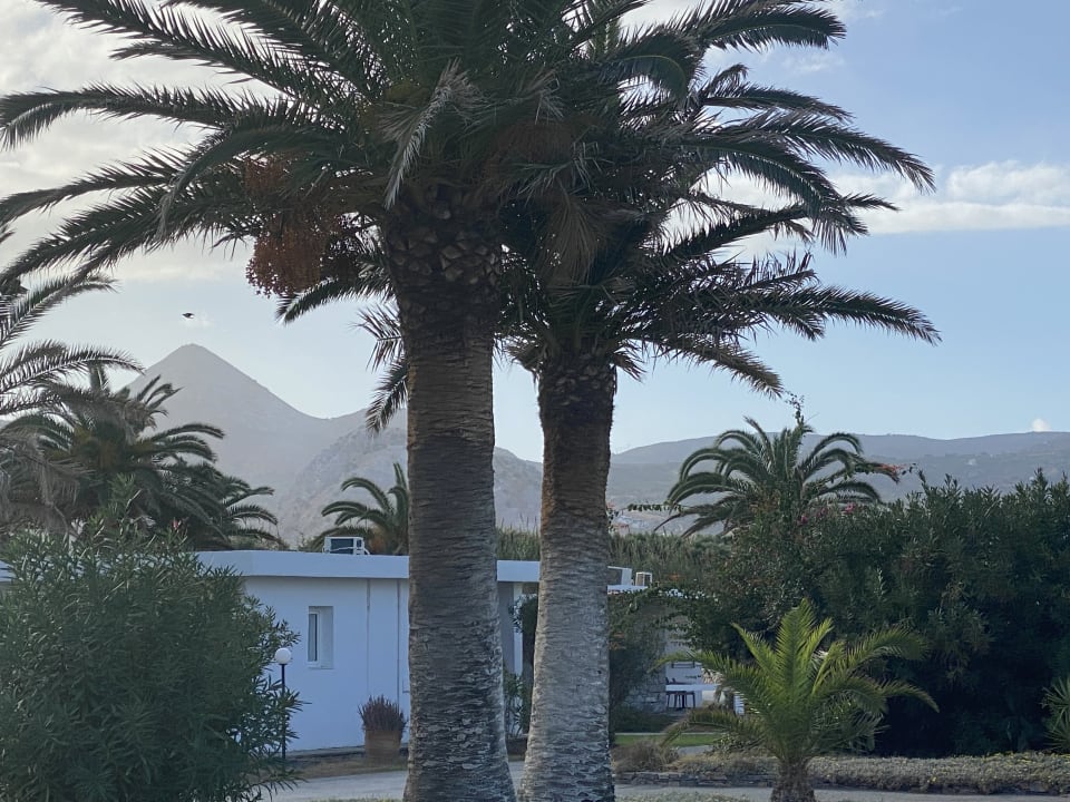 Ausblick Civitel Creta Beach
