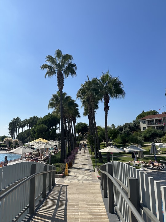 Gartenanlage Arum Barut Collection