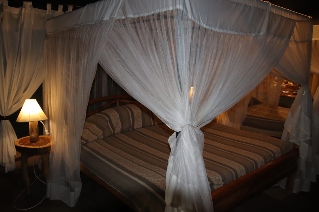 Zimmer Kibo Safari Camp