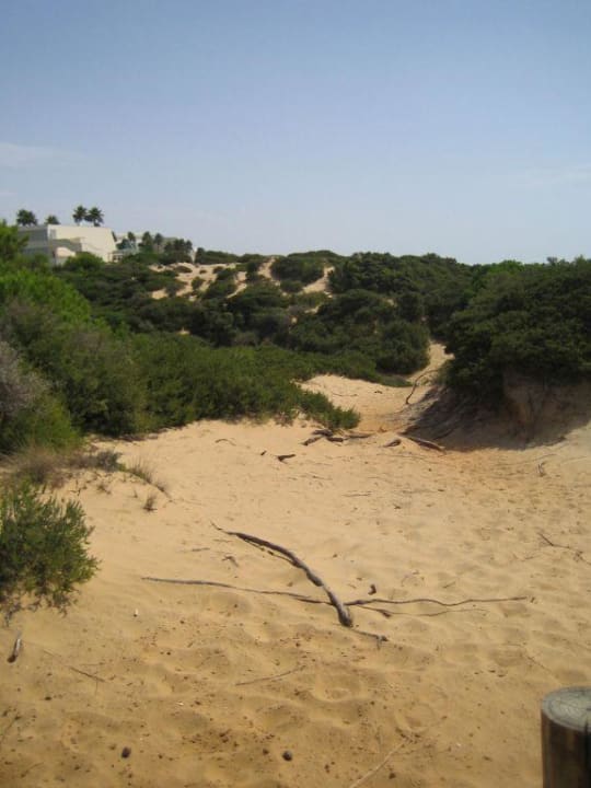 Strand am Barrosa Garden Hipotels Barrosa Garden