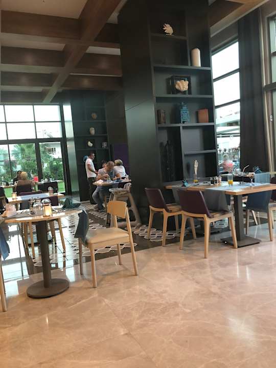 Gastro Acanthus Cennet Barut Collection