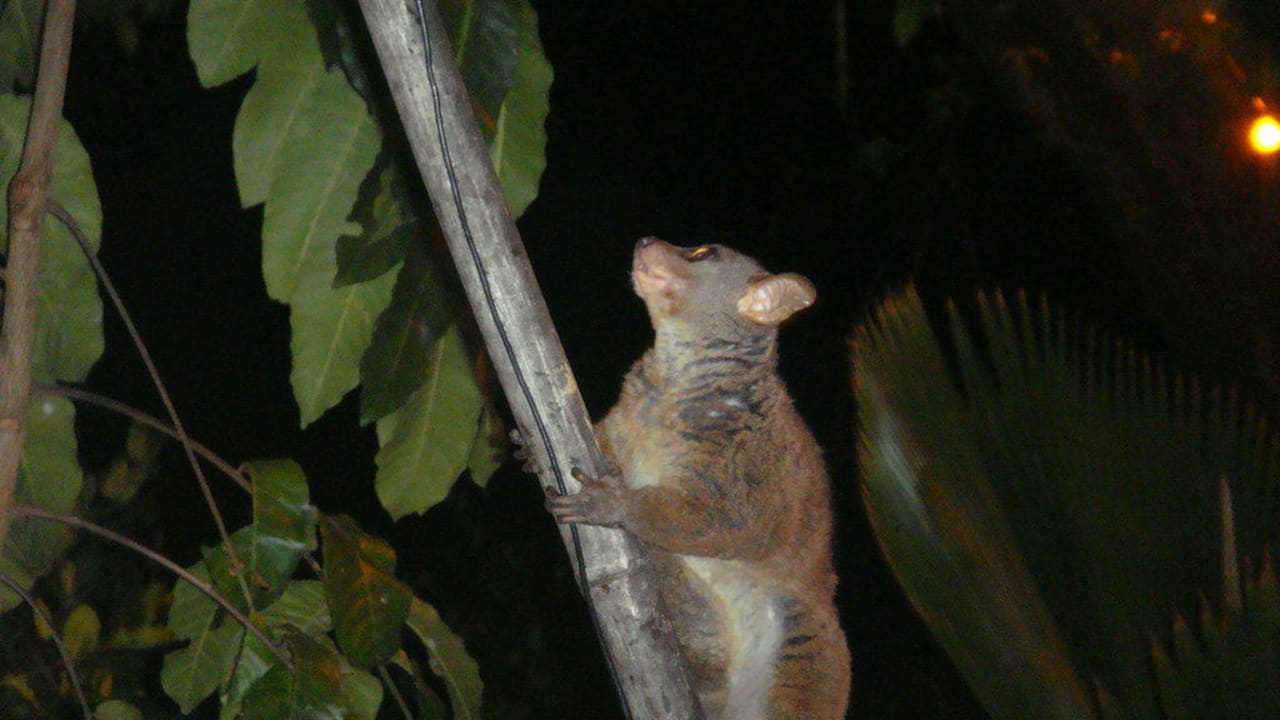 На дереве Hotel Papillon Lagoon Reef