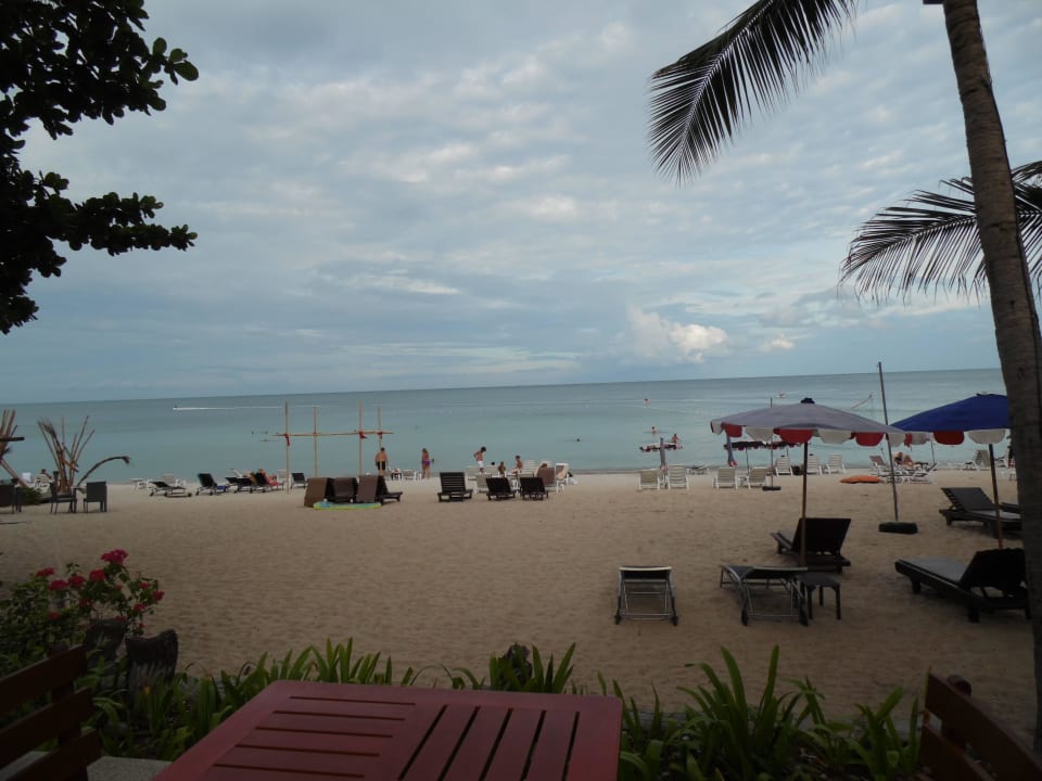 Immer eine Liege frei The Fair House Beach Resort