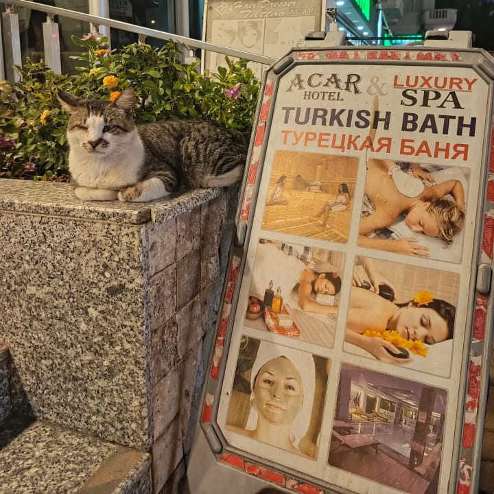 Sport & Freizeit Acar Hotel