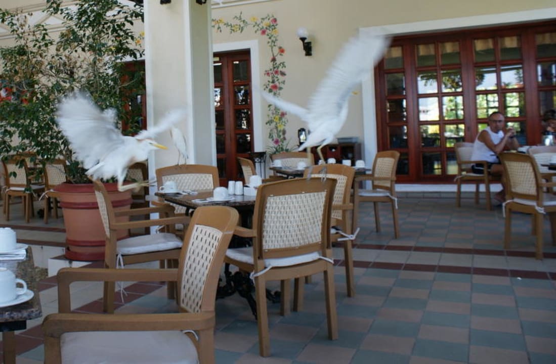 Frühstück Hotel Riu Negril