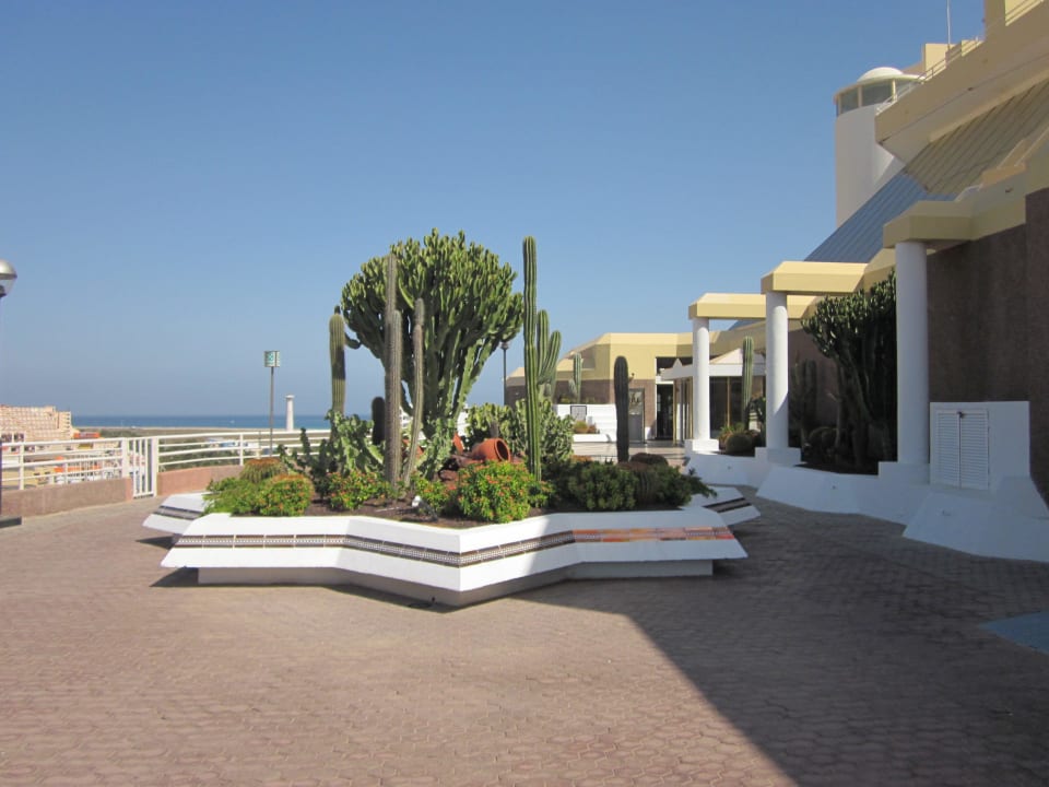 Eingangsbereich Hotel Riu Palace Jandia