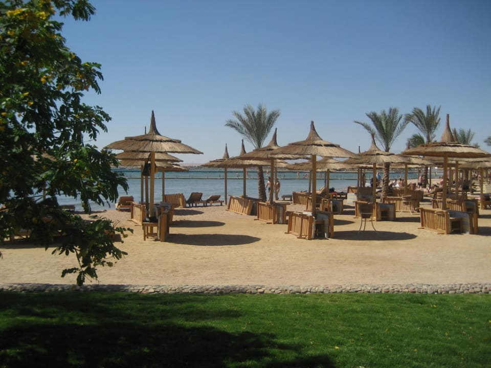 Strandblick Beach Albatros Pickalbatros Aqua Park Resort - Hurghada
