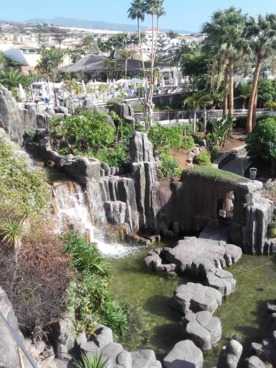 Ogród Landmar Playa La Arena