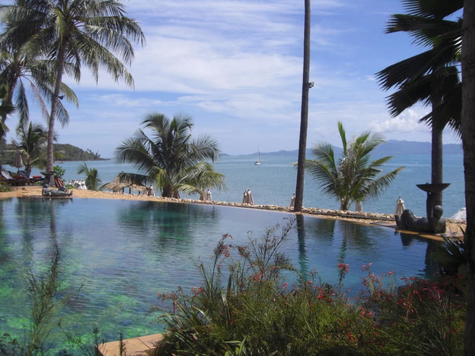 Pool mit Blick aufs Meer Anantara Bophut Koh Samui Resort