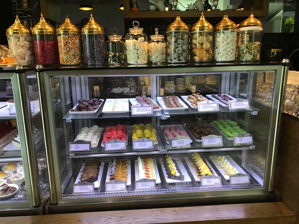 Gastro Acanthus Cennet Barut Collection