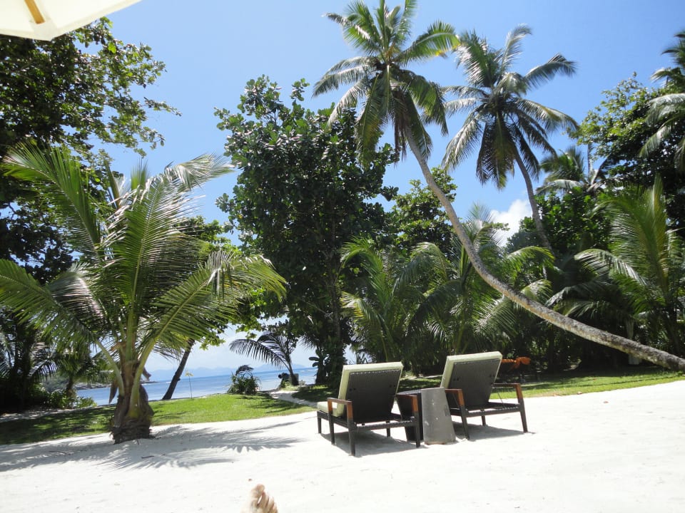 Blick von unserer Terrasse  Constance Ephelia