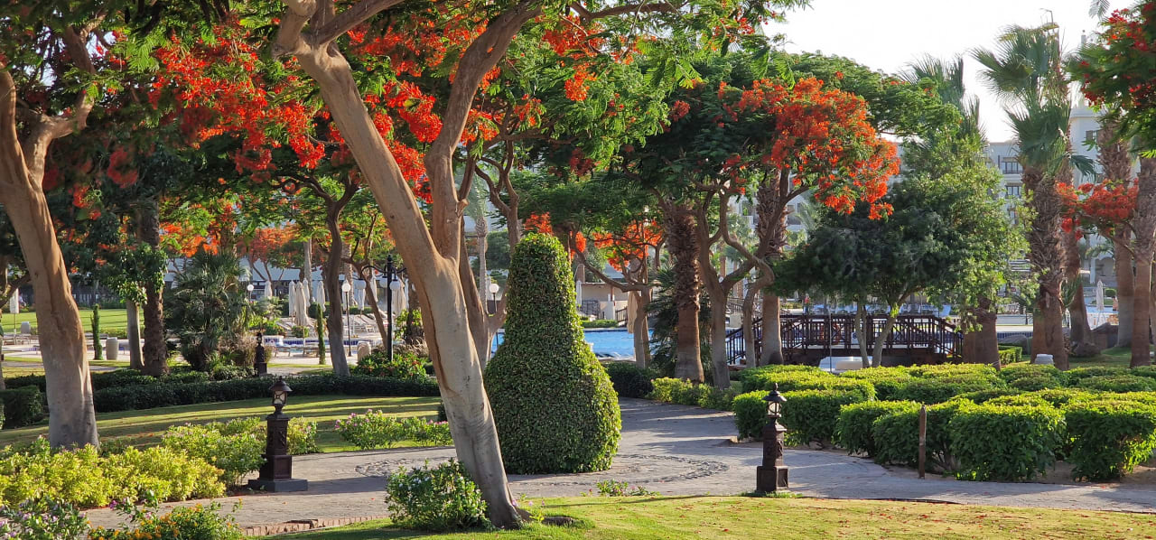Gartenanlage Steigenberger ALDAU Beach Hotel