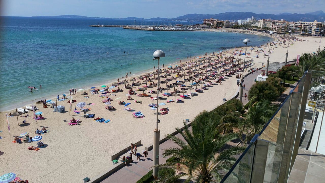 Ausblick von der Dachterrasse Hotel Edén Palma Playa - Adults Only