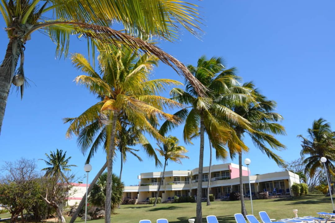 Palmen und tiefblauer Himmel Hotel Los Cactus