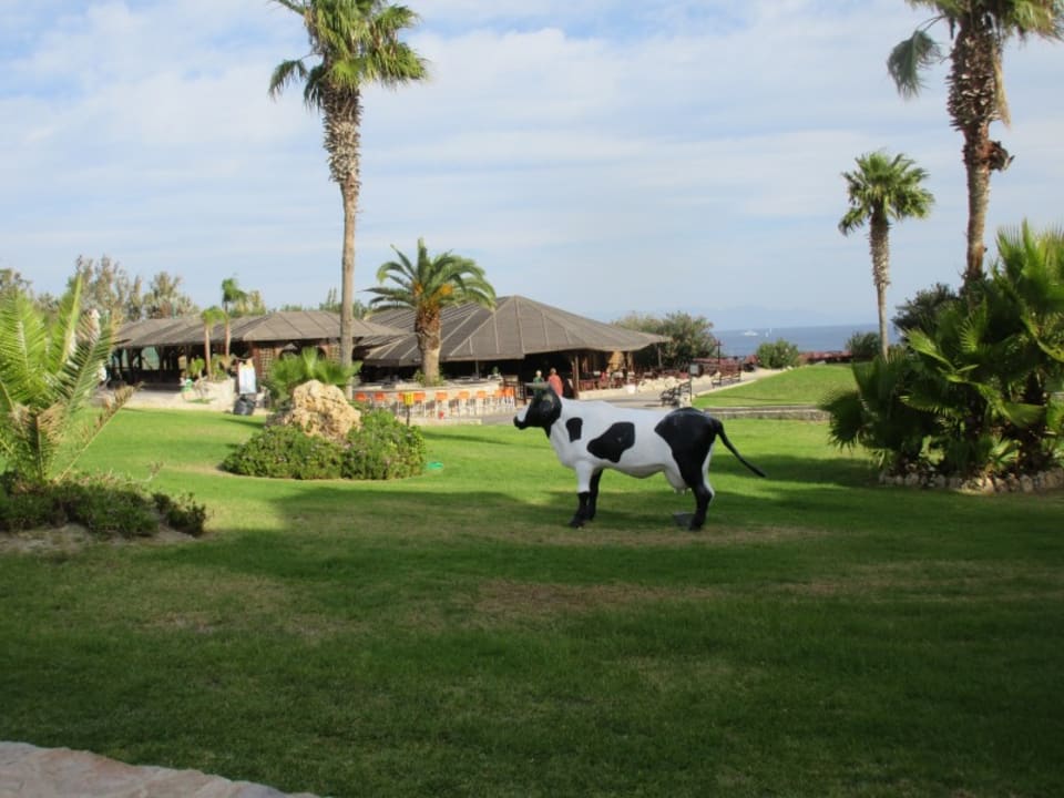 Gartenanlage Hotel Kalithea Horizon Royal