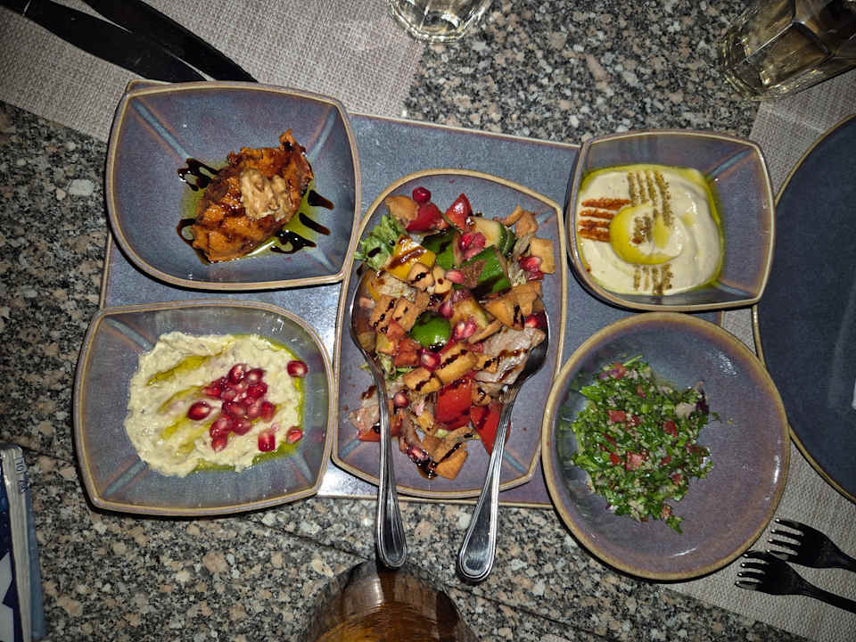 Gastro JAZ Elite Asteria