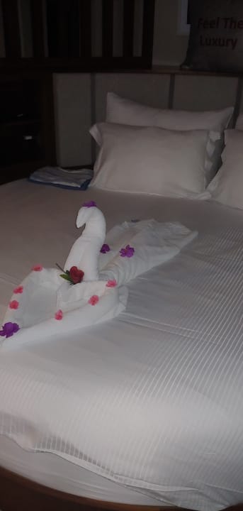 Zimmer Seaden Quality Resort & Spa