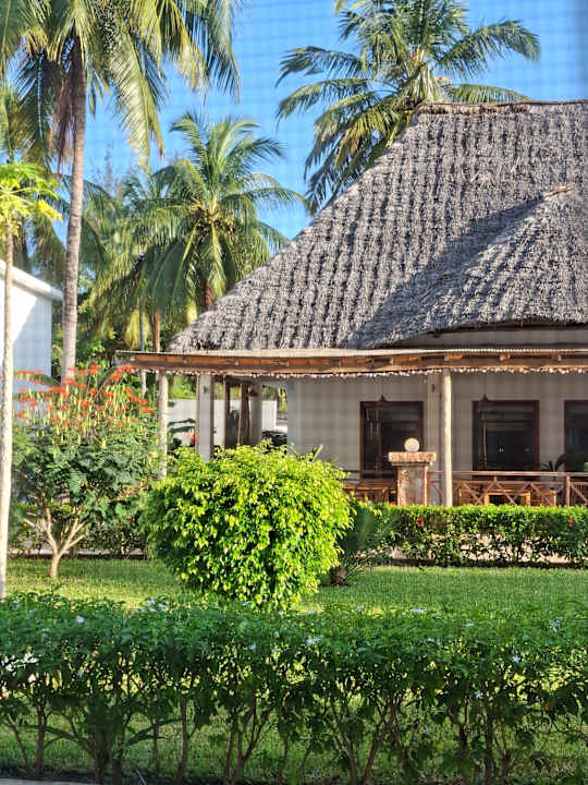 Gartenanlage SBH Monica Zanzibar