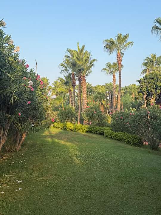 Gartenanlage Fame Residence Lara & Spa