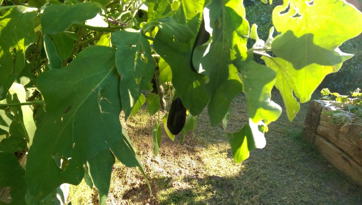 Отель Voyage Belek Golf & Spa