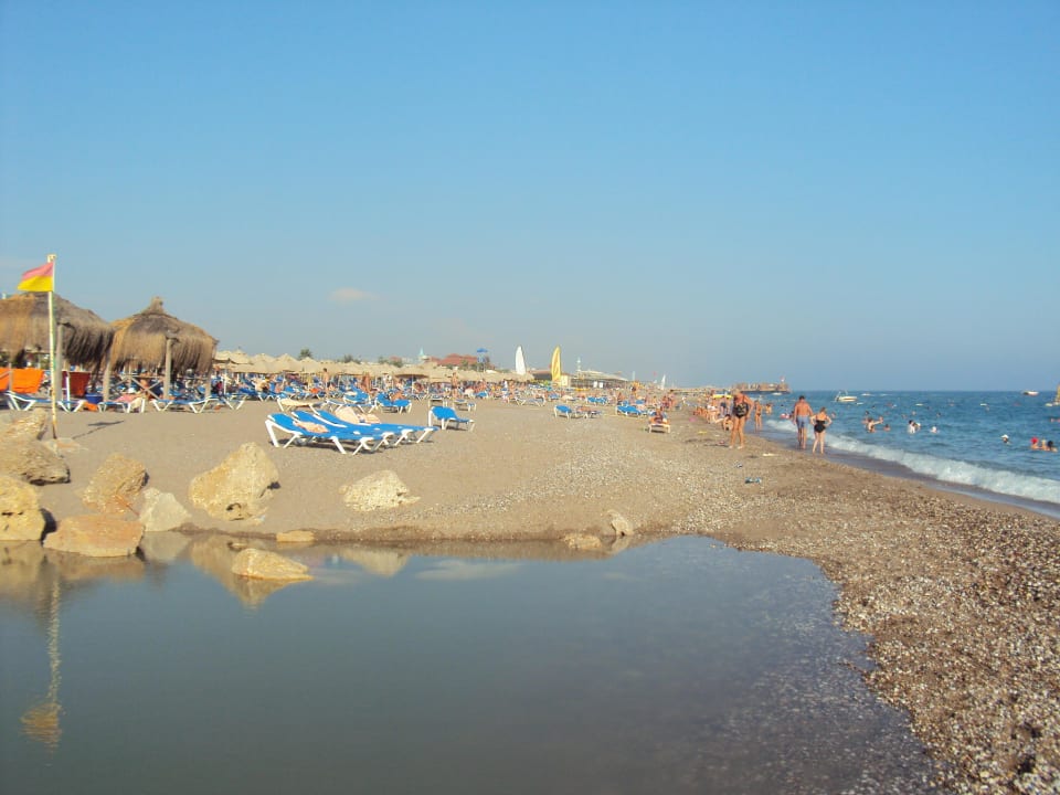 Schmutziges Brackwasser trübt Meerwasser ein Starlight Resort Hotel