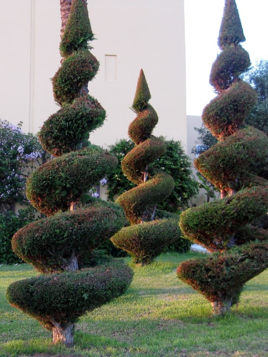 Künstlerische Meisterweke Hotel Horizon Beach Resort