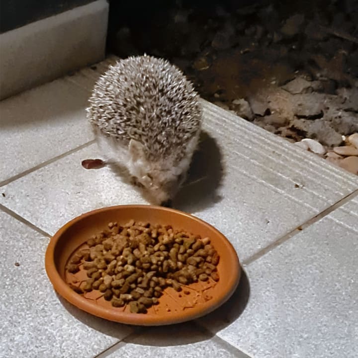 Sonstiges R2 Romantic Fantasia Suites - Adults only