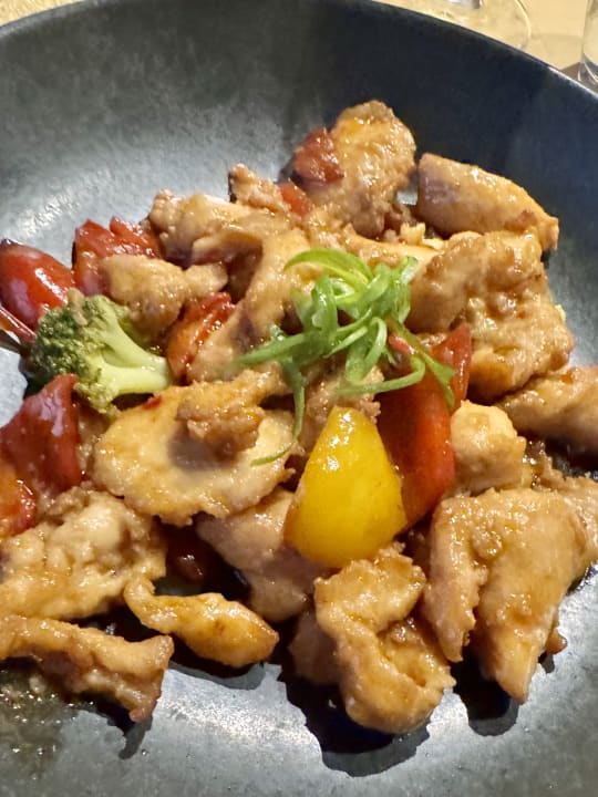 Gastro PALOMA Perissia