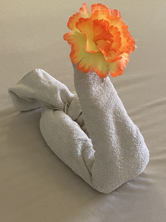 Zimmer Makadi Spa - Adults only