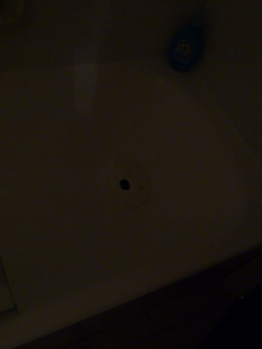 Ameisen im Bad VIVA Eden Lago