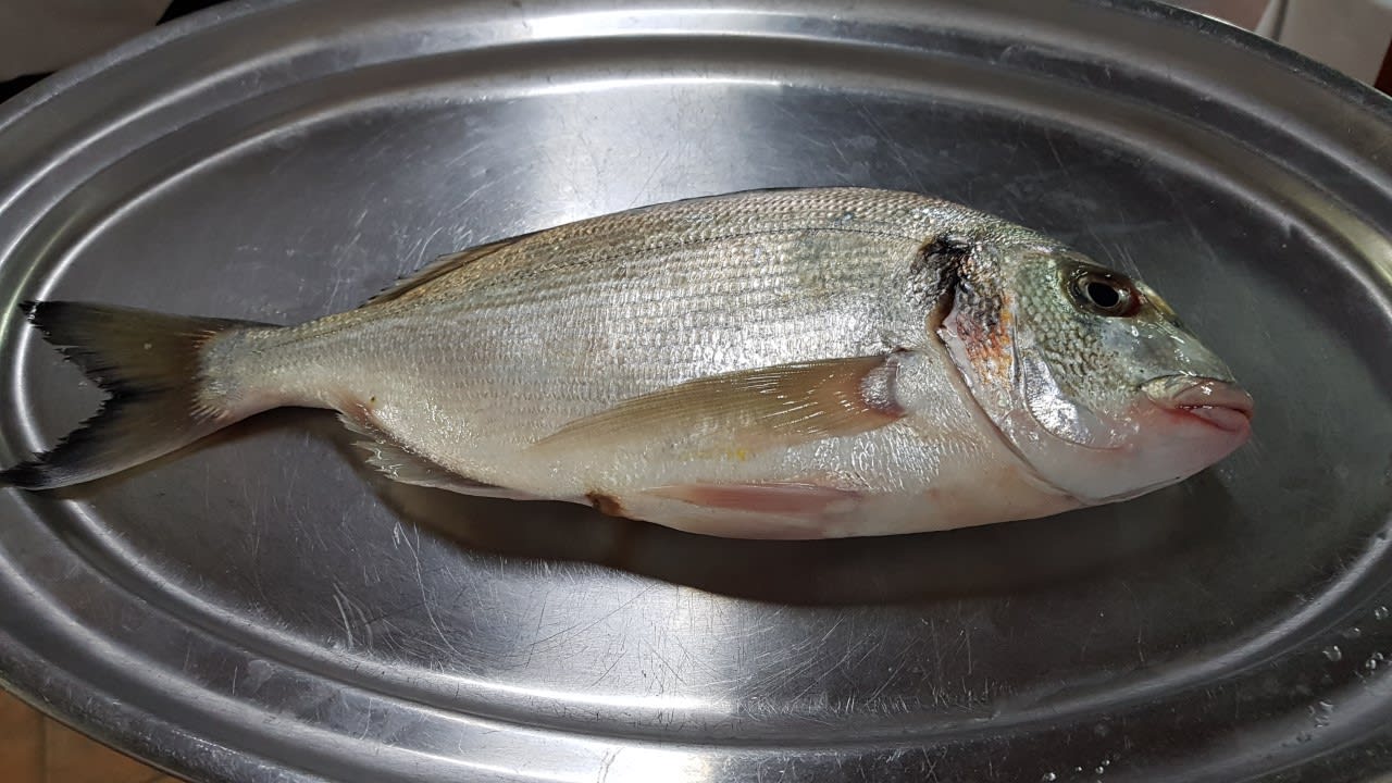 Gastro Hipotels Playa la Barrosa