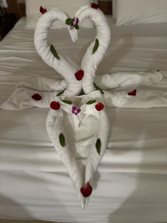 Zimmer Pickalbatros Aqua Park Resort - Sharm El Sheikh