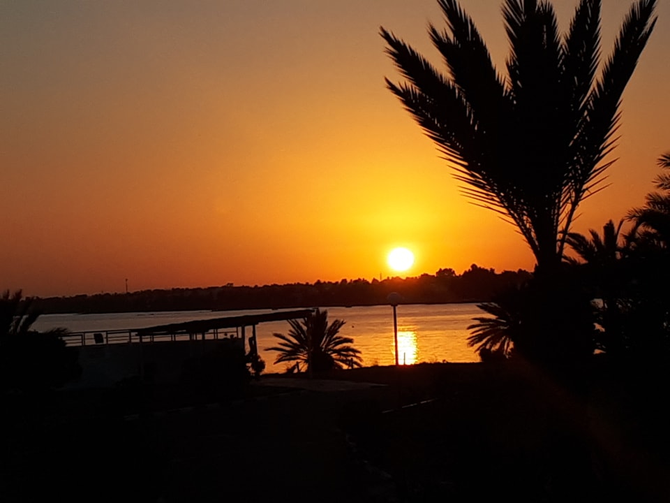 Ausblick Hotel El Mouradi Djerba Menzel