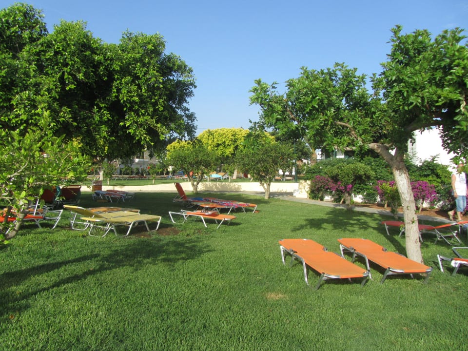 Hotel Chrissi Amoudia TUI SUNEO Chrissi Amoudia