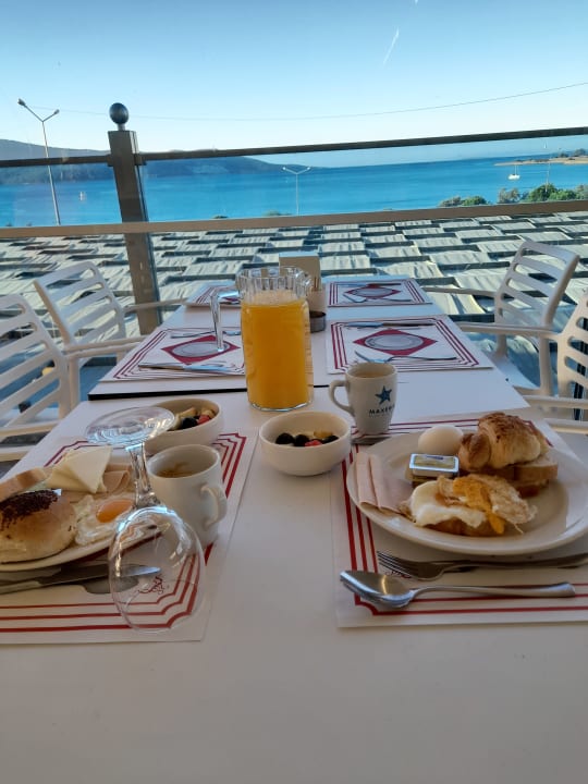 Gastro Maxeria Blue Didyma